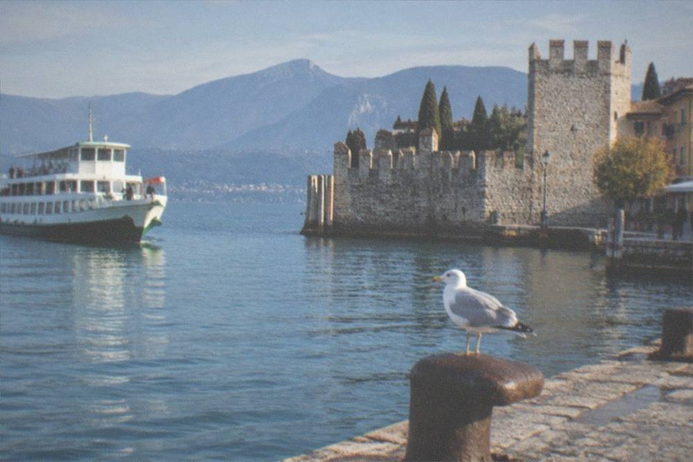 A seagull stands on a bollard on a stone quay by Lake Garda, with a white passenger boat, a crenellated stone castle, and mountains beyond.